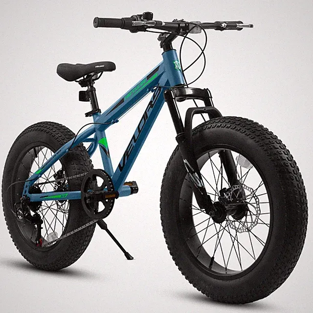 20 Inch Fat Tire Mountain Bike Dual Disc Brakes Front Suspension 7 Speeds, Blue