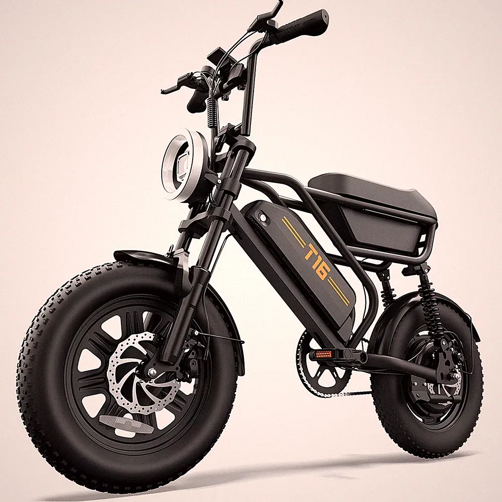 Fat tire bike